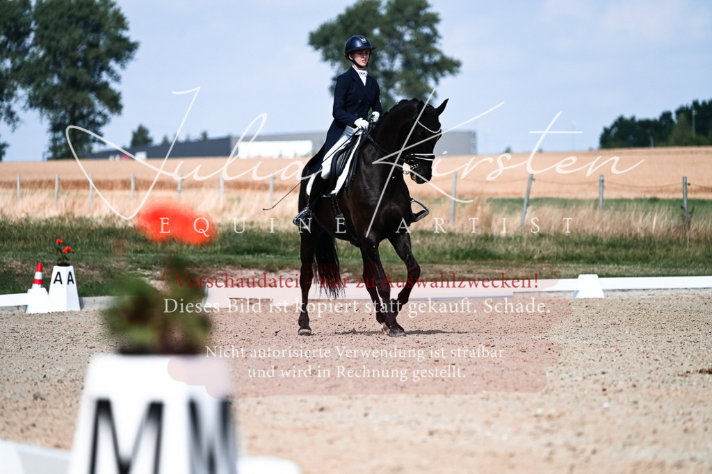 DSC_3148 | Pferde- und Turnierfotografie in Westsachsen. Pferdeportraits, Auftragszeichnungen und intuitive Kunst.