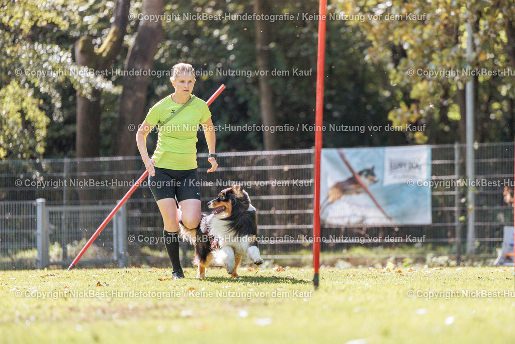 THS-HSV-Blumenthal-2026-Nickbest-Hundefotografie-3671 | Dein Hund! Dein Moment! Deine Erinnerungen! Hundefotografie in Bremen Blumenthal. Ich fange die besonderen Momente deines Vierbeiners ein – ob Indoor mit Blitzanlage oder in der freien Natur. Sicher dir dein Moment und dein Termin für eure Erinnerungen.