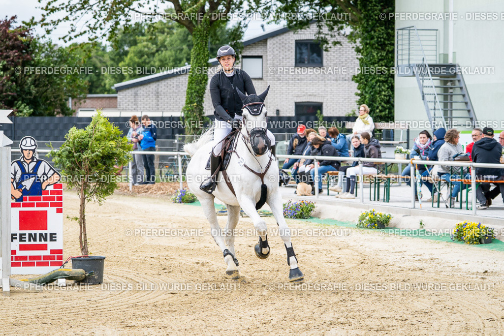 DSC05000 | Pferdegrafie