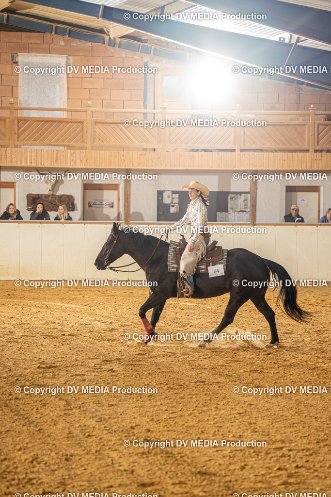 MIT00751 | dv-media-shop - Realisiert mit Pictrs.com