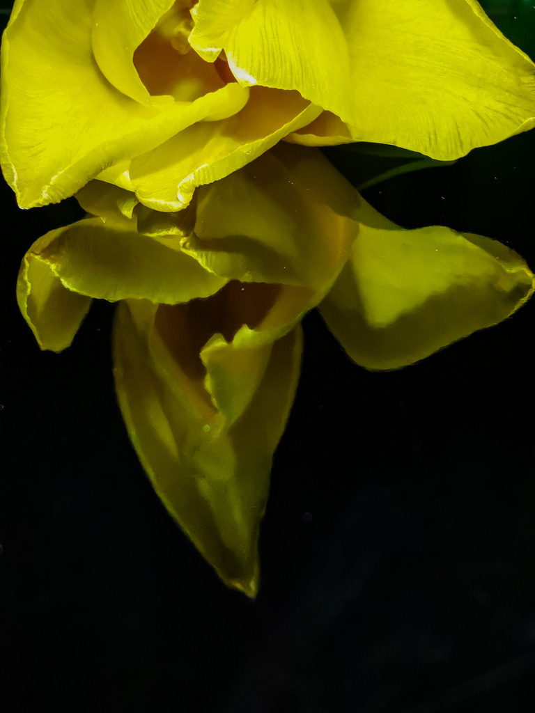 PSX_20230211_233902 | mtkfoto_ - Realisiert mit Pictrs.com