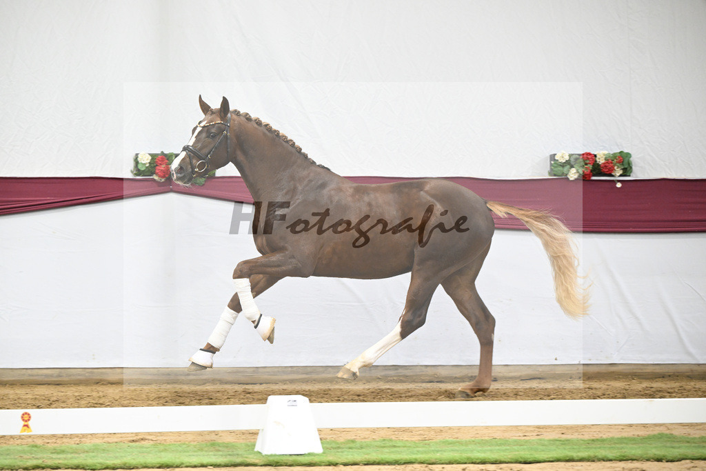 Kat-Nr. 64 Sky x Damsey_Heiko Klausing_47252341 | hf-fotografie - Realisiert mit Pictrs.com