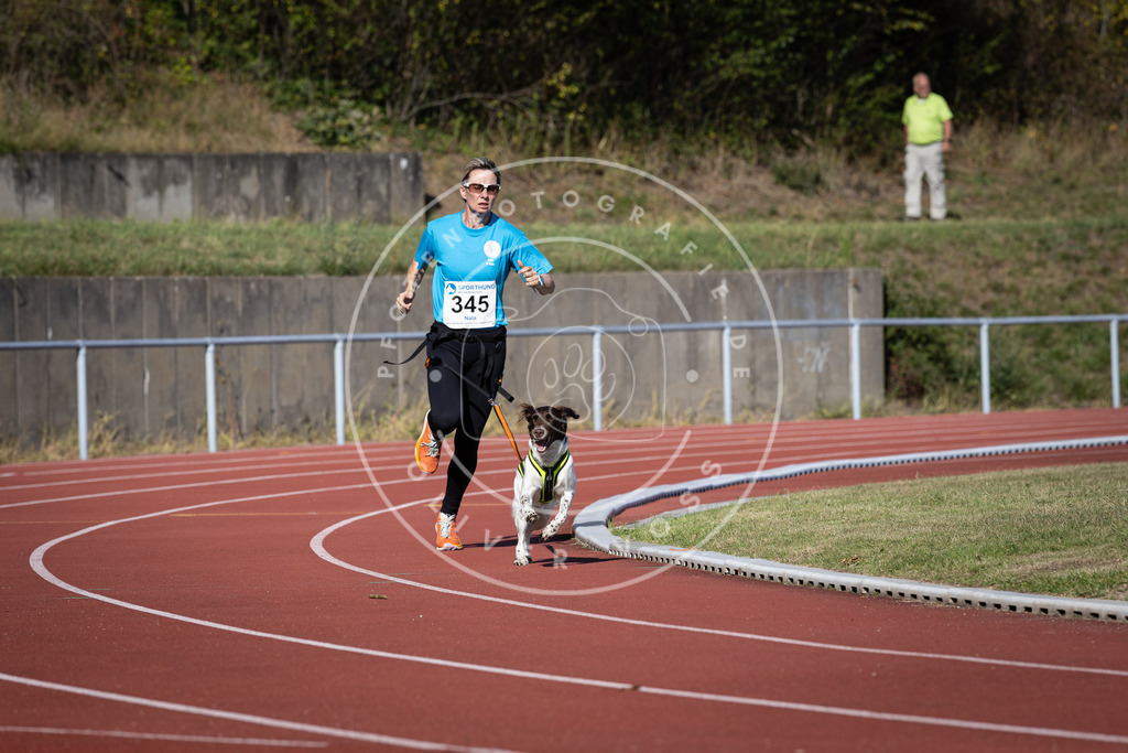 Pfotenfotografie_DV3A8423 | Hundefotografie, Tierfotograf, Pfotenfotografie, Fotoshooting Hund, Hunde Portrait, Hundesport, Hundeportraits, Heideshooting, Hunde, Sportfotograf, Hundefotograf, Turnierhundsport, THS,  - Realisiert mit Pictrs.com