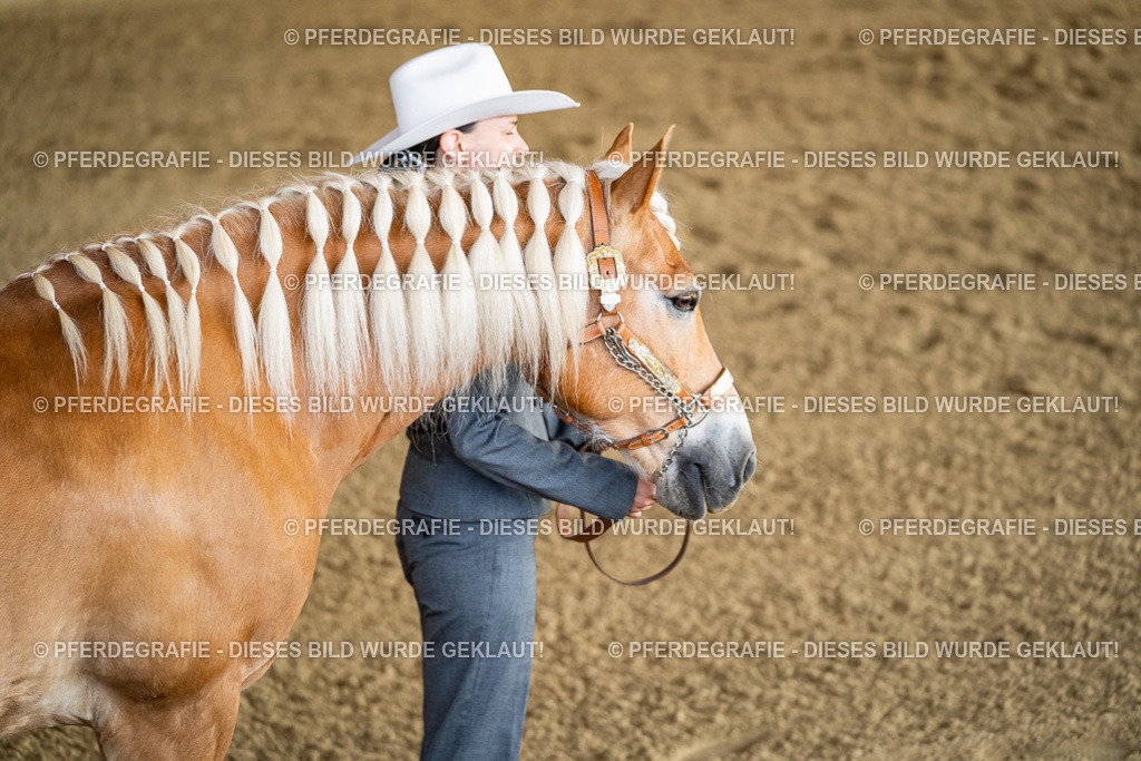 DSC07600 | Pferdegrafie