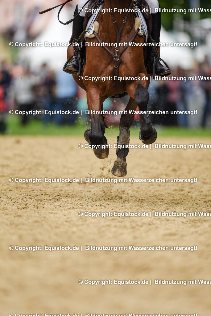 20250607_27_CCI4_Gelände_0228 | Foto: Thomas Hartig