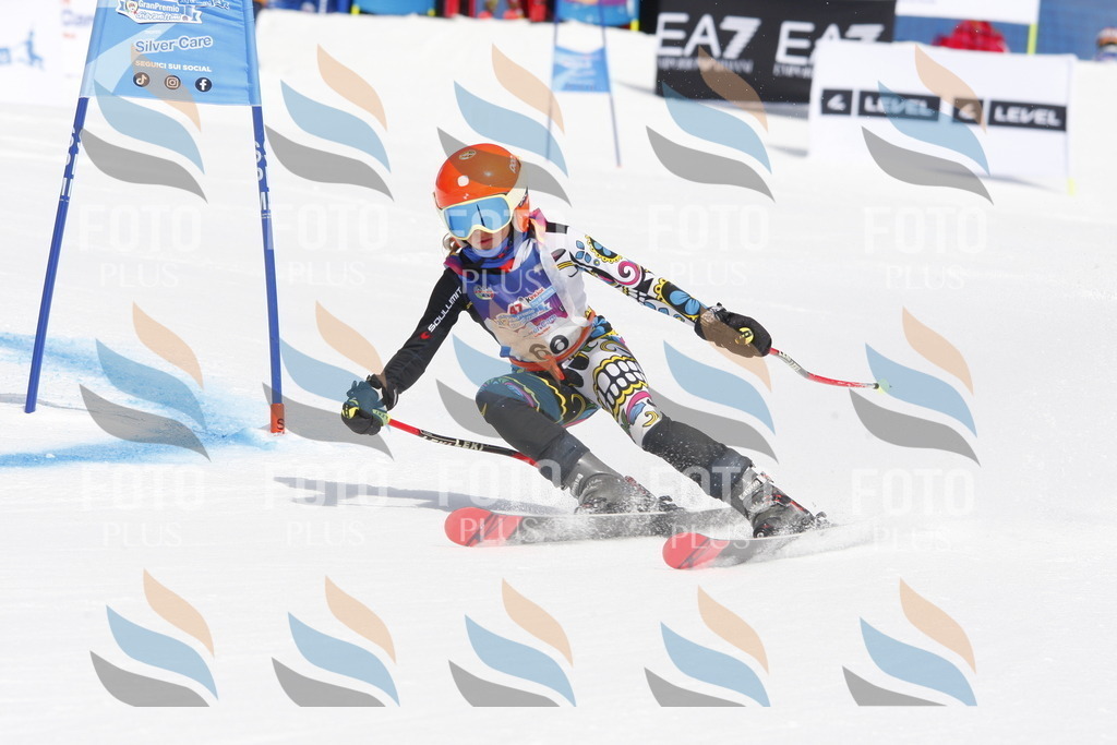 _W1G0969 | holidayphoto