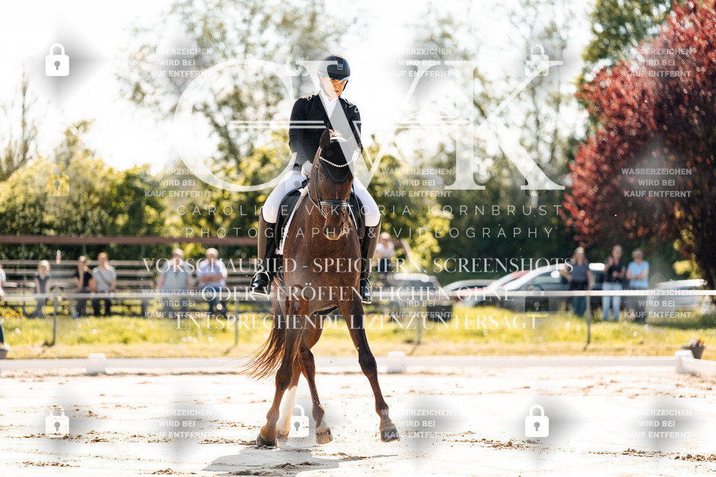 CK909145 | Turnierfotografie Pferdefotografie Trier Rheinland-Pfalz Pferdesport Reitsport Tierfotografie Sportfotografie Pferdevideo Pferdevideografie Equestrianvideography equestrianphotography  - Realisiert mit Pictrs.com