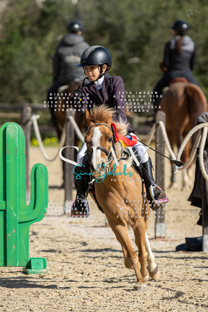 IMG_6087 | s-jay-photography - Realisiert mit Pictrs.com