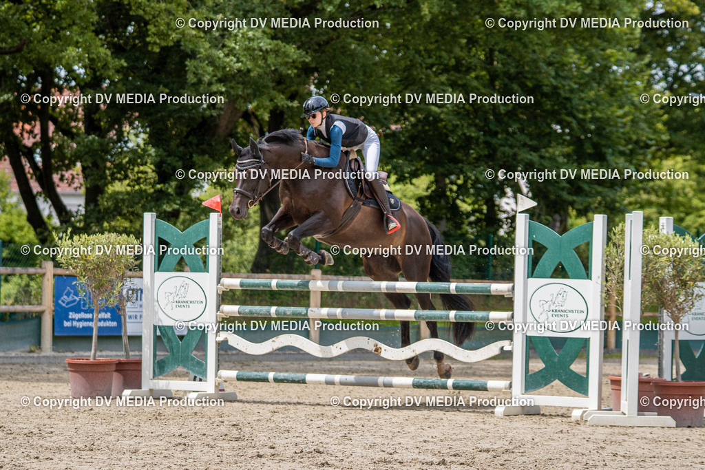 Hessische Tag 1-1542 | dv-media-shop - Realisiert mit Pictrs.com