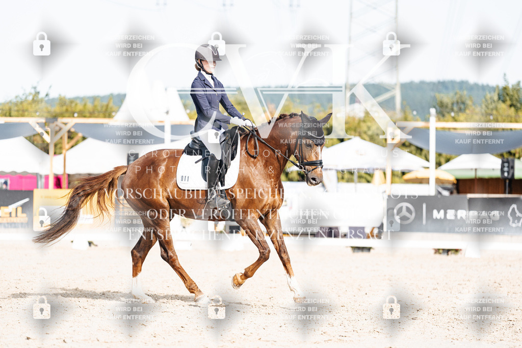 CK905177 | Turnierfotografie Pferdefotografie Trier Rheinland-Pfalz Pferdesport Reitsport Tierfotografie Sportfotografie Pferdevideo Pferdevideografie Equestrianvideography equestrianphotography  - Realisiert mit Pictrs.com