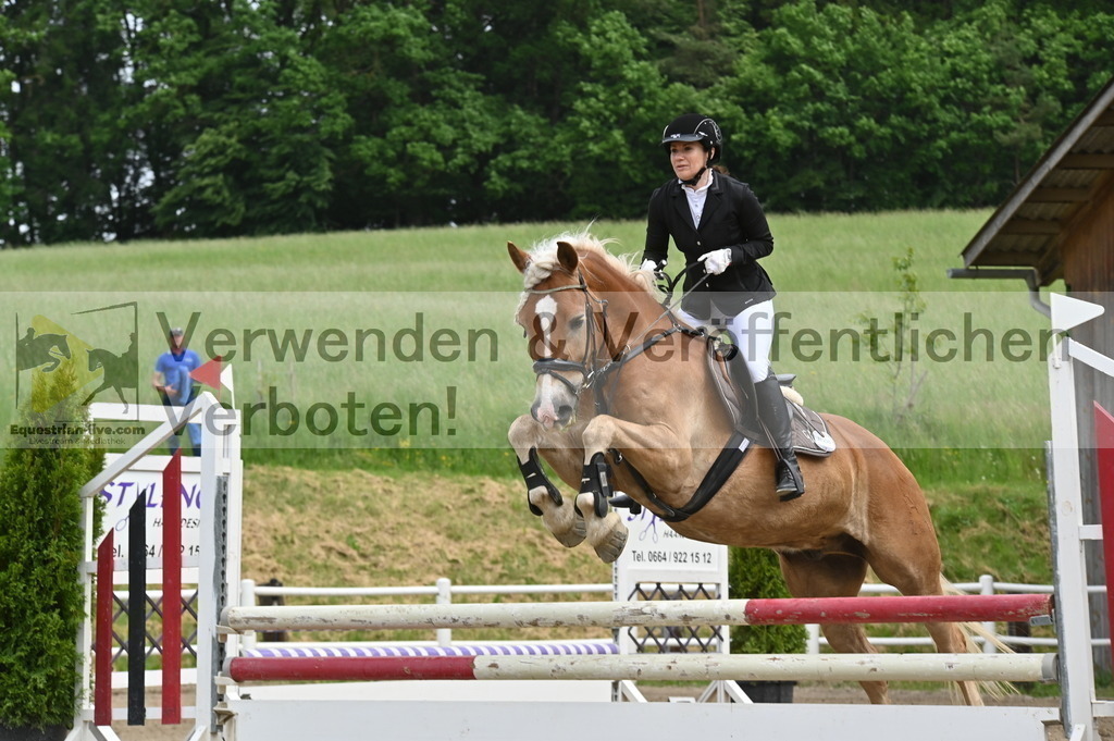 DSC_9192 | equestrian-live-com