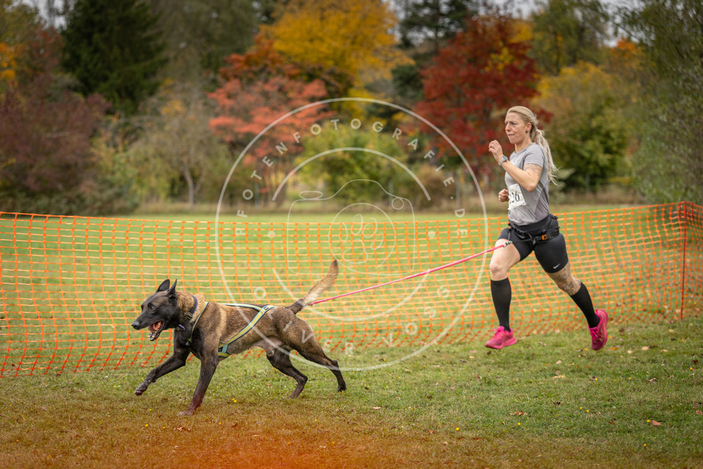 Pfotenfotografie_DV3A4643 | Hundefotografie, Tierfotograf, Pfotenfotografie, Fotoshooting Hund, Hunde Portrait, Hundesport, Hundeportraits, Heideshooting, Hunde, Sportfotograf, Hundefotograf, Turnierhundsport, THS,  - Realisiert mit Pictrs.com