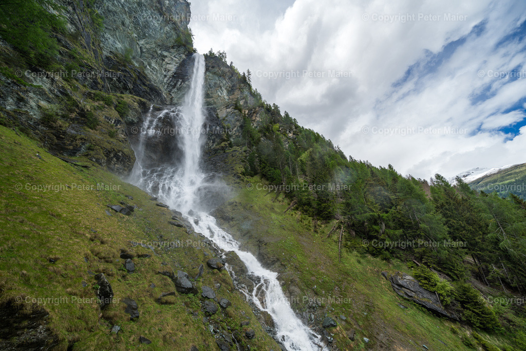 Jungfernsprung_Mai_24-54 | piet_flosse