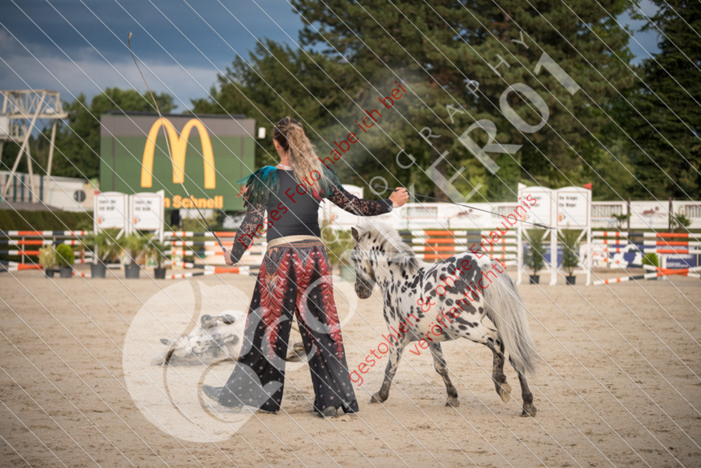 DSC_0001 | Sport-, Event- und Tierfotos in Profiqualität. Einfach auswählen, bestellen und herunterladen. Dein Moment – perfekt festgehalten.