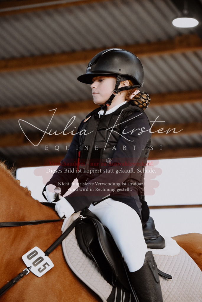 DSC_7445 | Pferde- und Turnierfotografie in Westsachsen. Pferdeportraits, Auftragszeichnungen und intuitive Kunst.