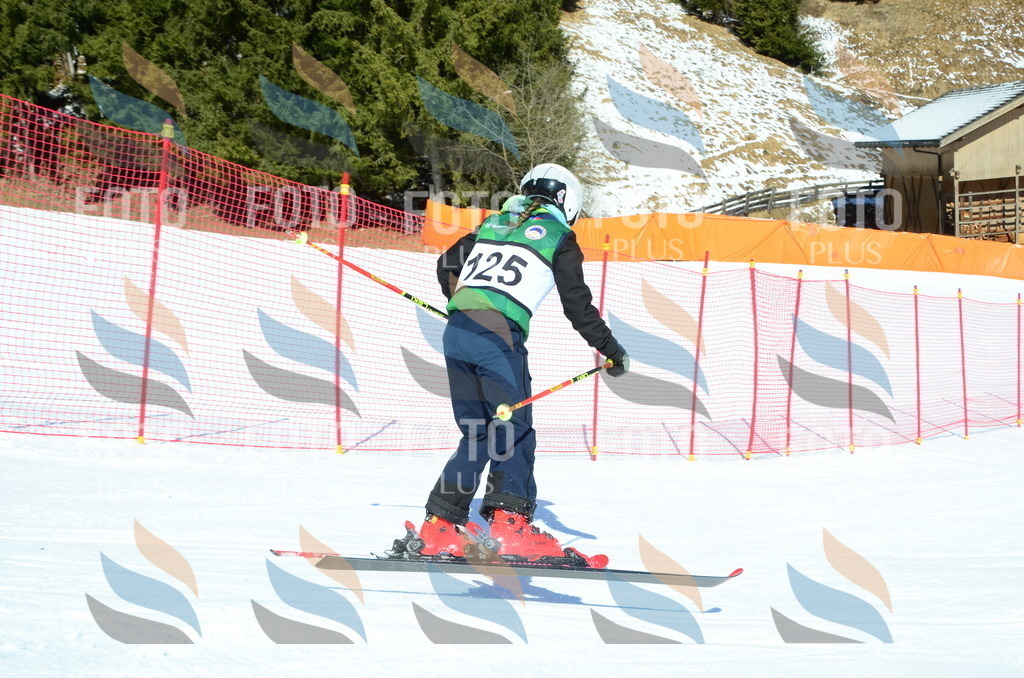 C5929 | holidayphoto