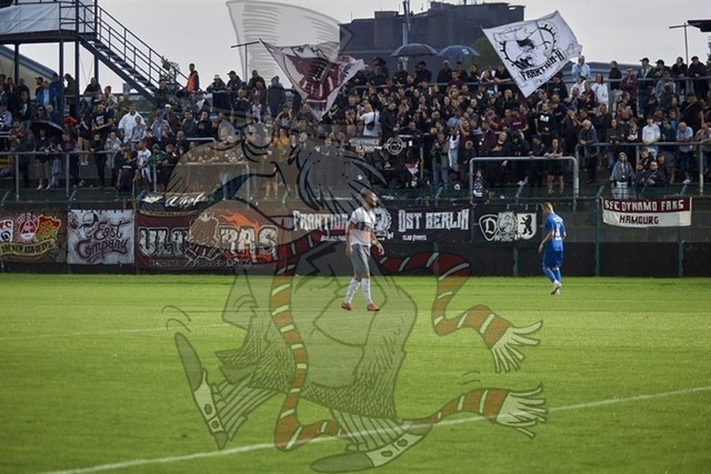 BFC Dynamo vs. FC Carl Zeiss Jena 033 | mythos-online-redaktion