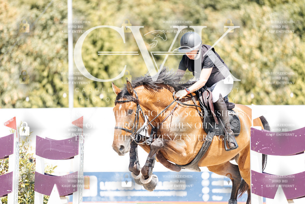 CK900570 | Turnierfotografie Pferdefotografie Trier Rheinland-Pfalz Pferdesport Reitsport Tierfotografie Sportfotografie Pferdevideo Pferdevideografie Equestrianvideography equestrianphotography  - Realisiert mit Pictrs.com