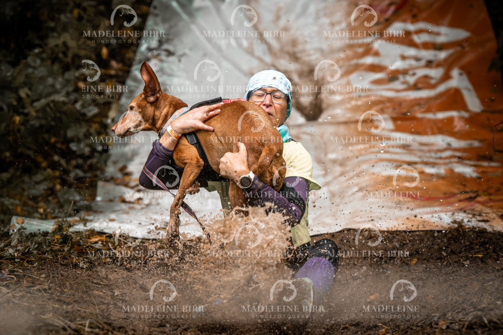 madeleinebirr-fotografie2025.campcanis.sa.10-11Uhr-153 | hundefotografie-birr