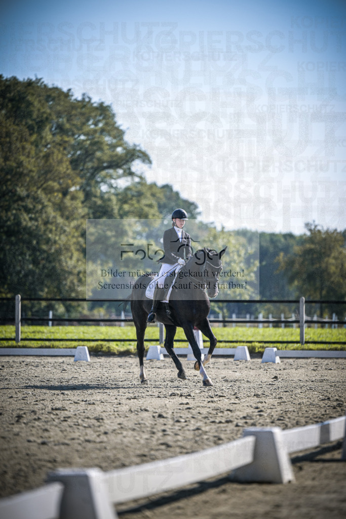 DOS_2527 | Entdecke hochwertige Reitturnierfotos von Foto Oger. Professionell, emotional und authentisch – jetzt Lieblingsmomente im Shop bestellen.Deutschlandweite Turnierfotografie. - Realisiert mit Pictrs.com