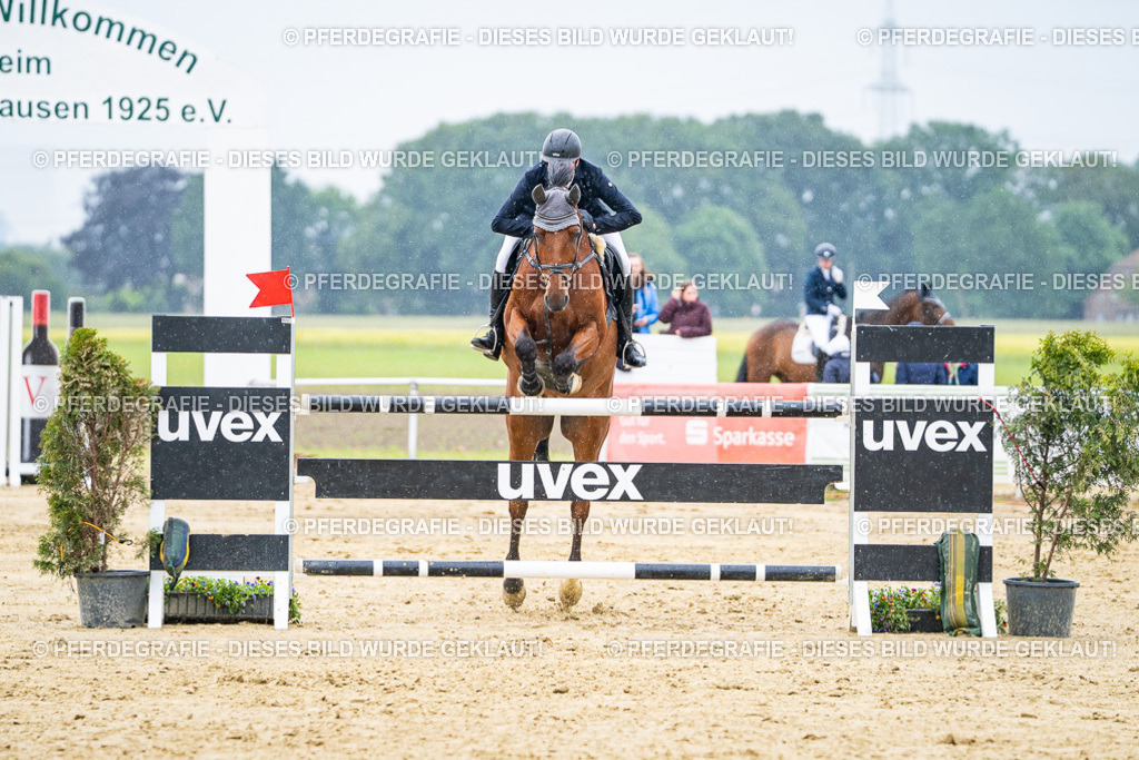 DSC07172 | Pferdegrafie