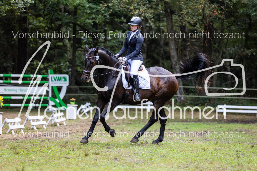 HB-Dressur-WB-016 | MomenTaufnahmen Pferdesportfotos