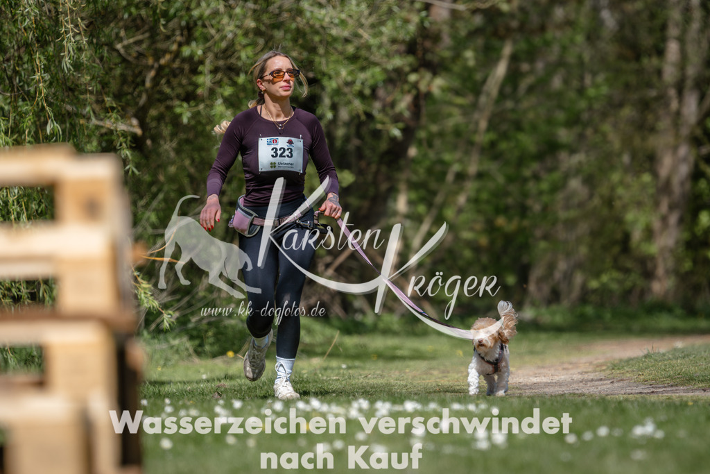 1236DZ6_4923 | kk-dogfotos