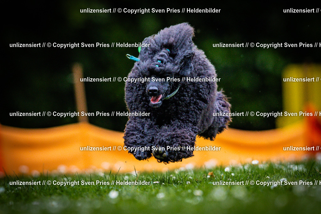 Sven Pries | 2025-05-29 - Pudelrennen KA-Durlach - Realisiert mit Pictrs.com