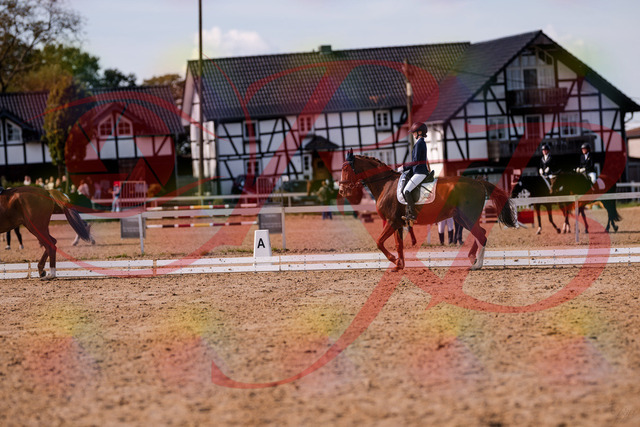2026_10_03_Siefer-Hof_133145_Z81_86340775 | Professionelle Reitsport-, Turnier- und Eventfotografie von Robert Broda. Galerien mit ausgewählten und bearbeiteten Bildern direkt online ansehen und bestellen.