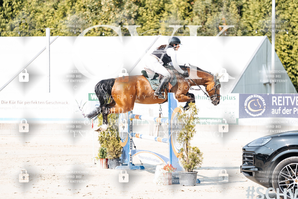 CK902128 | Turnierfotografie Pferdefotografie Trier Rheinland-Pfalz Pferdesport Reitsport Tierfotografie Sportfotografie Pferdevideo Pferdevideografie Equestrianvideography equestrianphotography  - Realisiert mit Pictrs.com