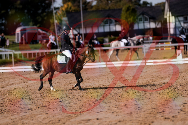 2026_10_03_Siefer-Hof_120808_Z81_11413282 | Professionelle Reitsport-, Turnier- und Eventfotografie von Robert Broda. Galerien mit ausgewählten und bearbeiteten Bildern direkt online ansehen und bestellen.