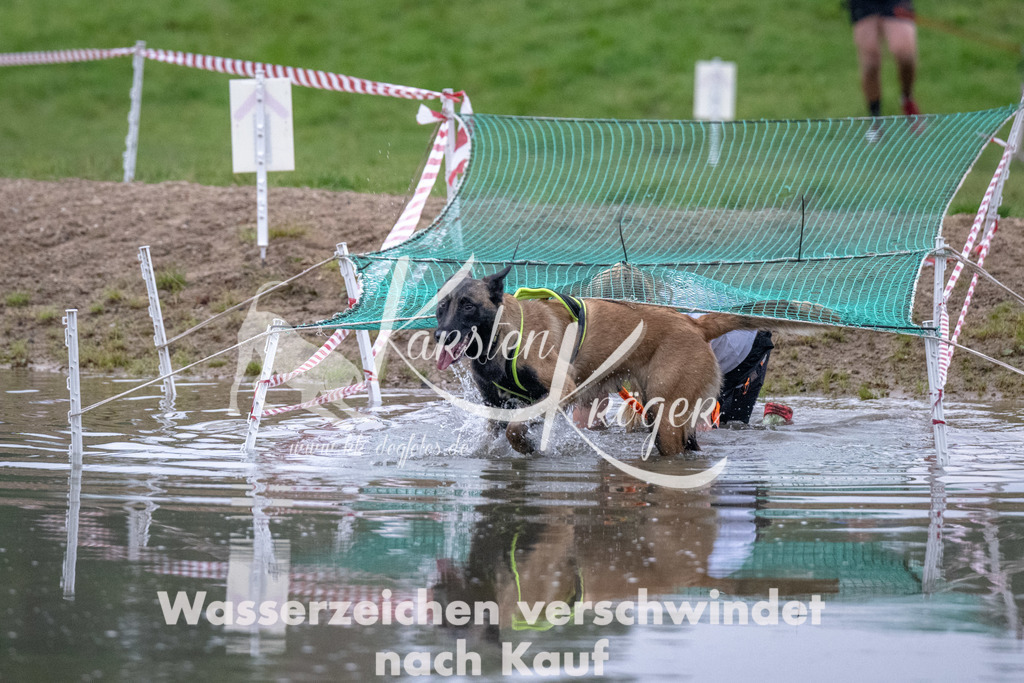 0810_ZZ90112 | kk-dogfotos