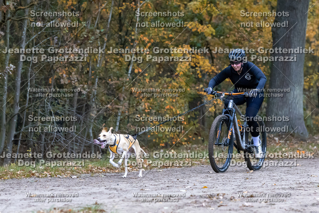 Dog Paparazzi - SD CaniX Championship 2025-242 | Dog Paparazzi Jeanette Grottendiek Fotografie & Videografie - Realisiert mit Pictrs.com