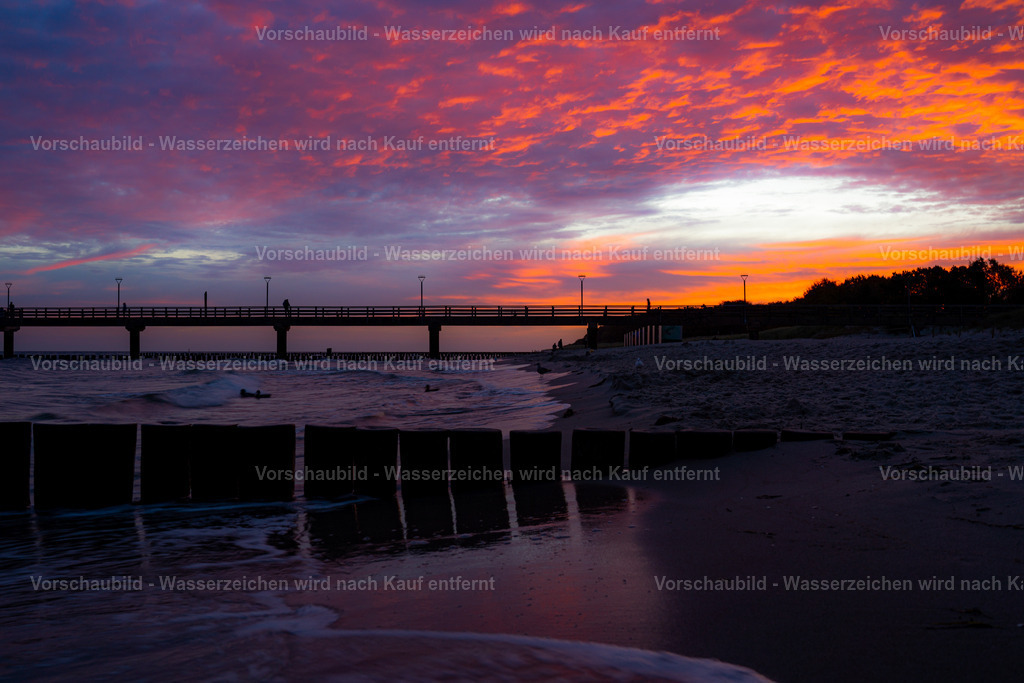 DSC03912 | marcuslinek