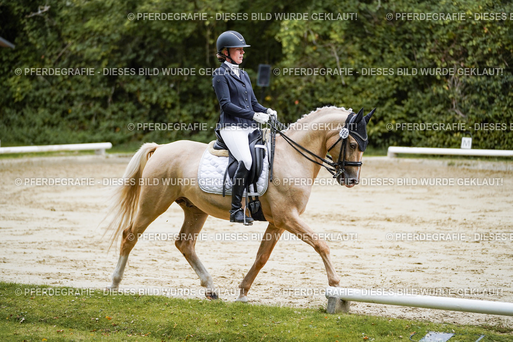 DSC08886 | Pferdegrafie