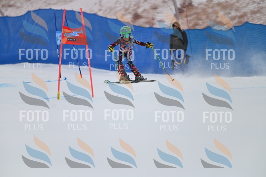 BGV_0319 | holidayphoto