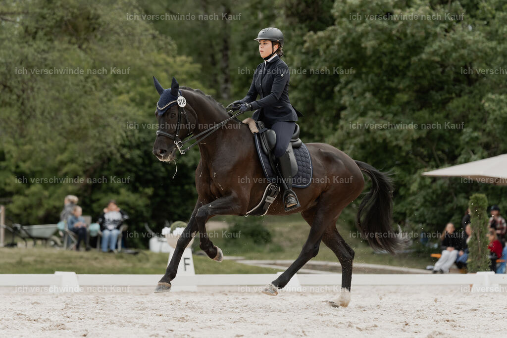 WE_DR_Stoib_316_PI2025_444 | Pferd International München 2025