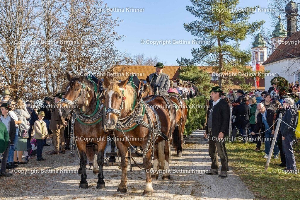 LBT25-1265 | foto-bettina-krinner - Realisiert mit Pictrs.com