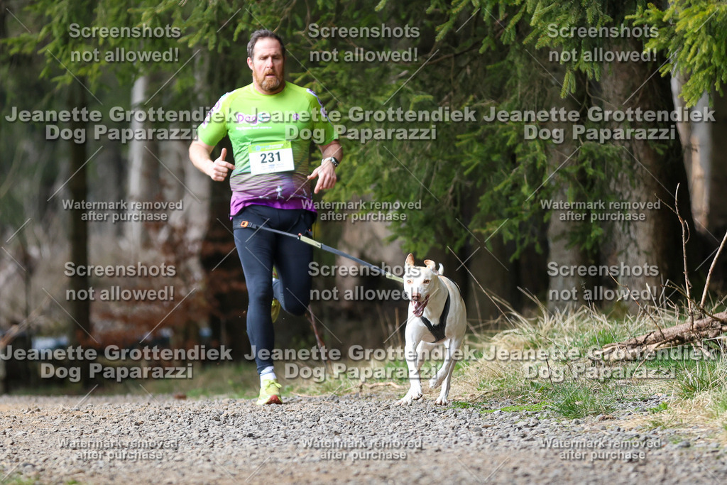 Dog Paparazzi - VCC26-284 | Dog Paparazzi Jeanette Grottendiek Fotografie & Videografie - Realisiert mit Pictrs.com