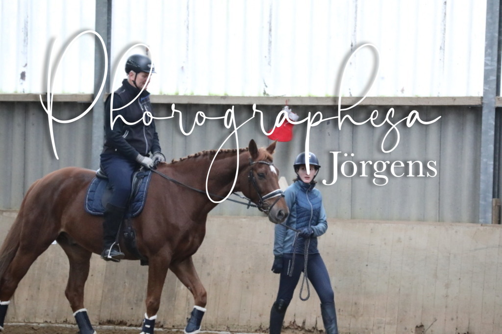 IMG_7198 | photographesa-joergens - Realisiert mit Pictrs.com