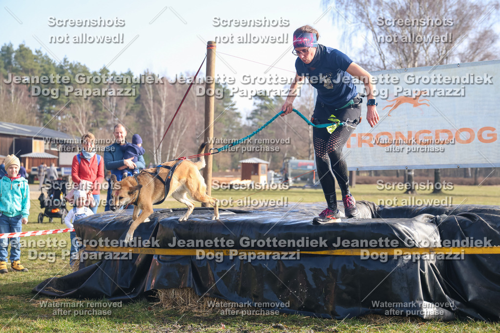Dog Paparazzi - Strongdog North Mrz26-847 | Dog Paparazzi Jeanette Grottendiek Fotografie & Videografie - Realisiert mit Pictrs.com