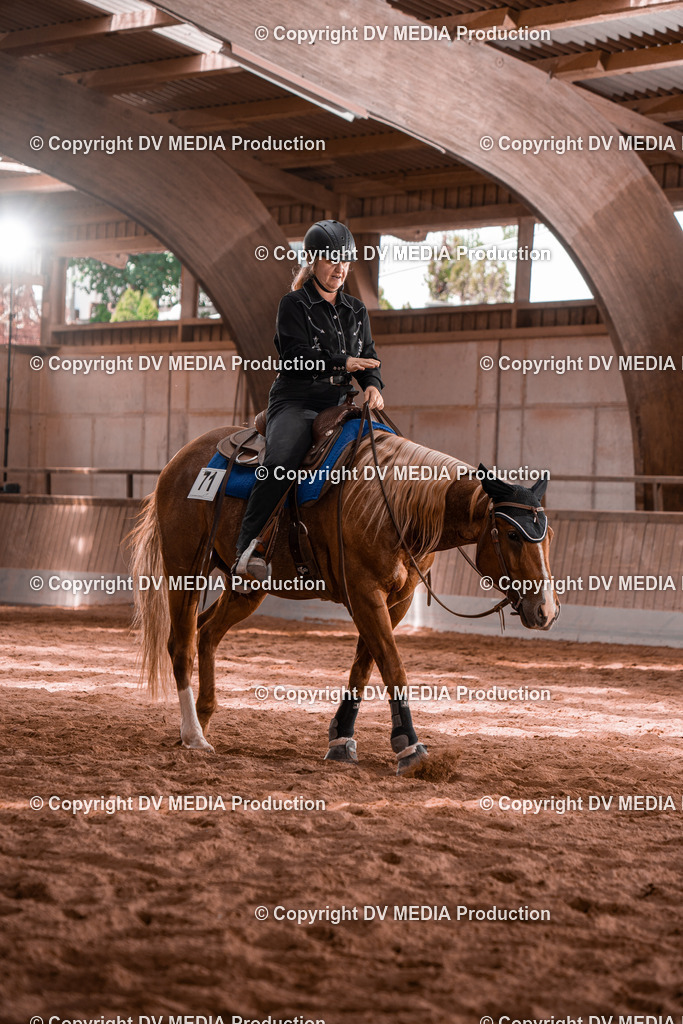 NE100548 | dv-media-shop - Realisiert mit Pictrs.com