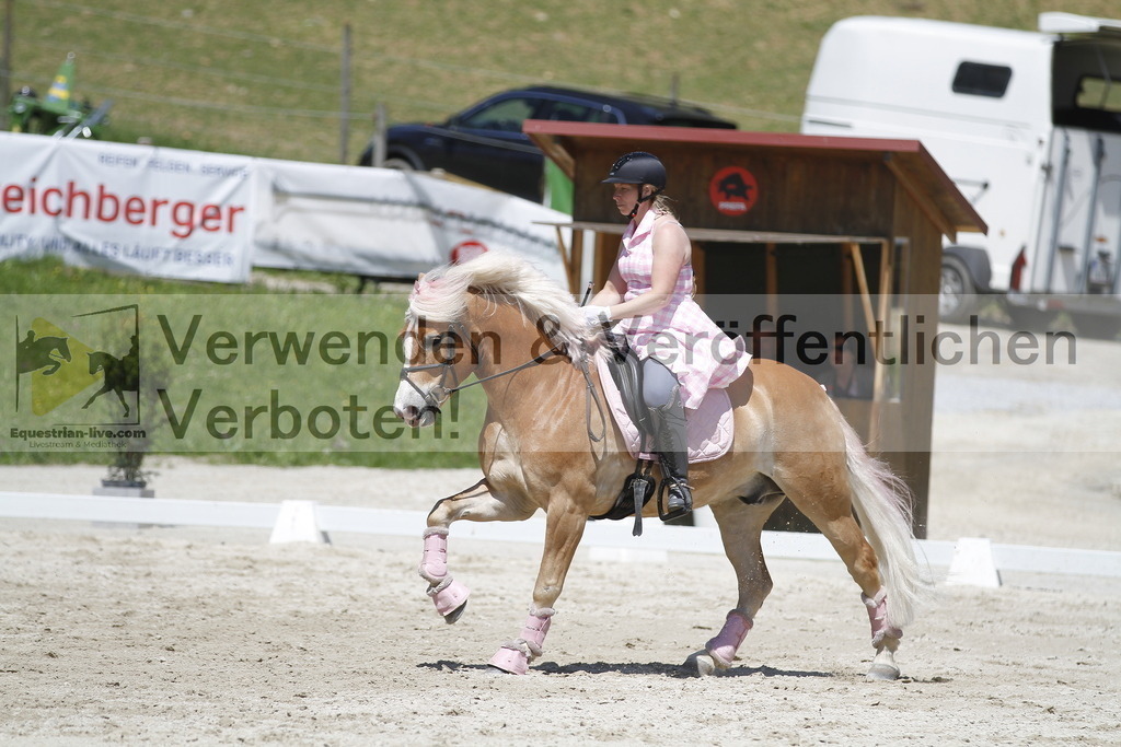 _MG_7609 | equestrian-live-com