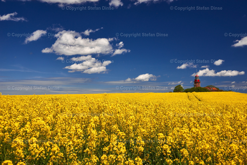 Lighthouse Buk near Bastorf in yellow field | Lighthouse Buk near Bastdorf in yellow field - Realisiert mit Pictrs.com