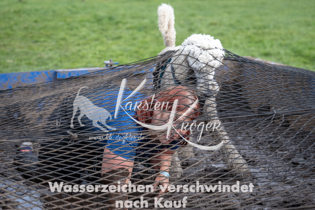 1424_ZZ92202 | kk-dogfotos