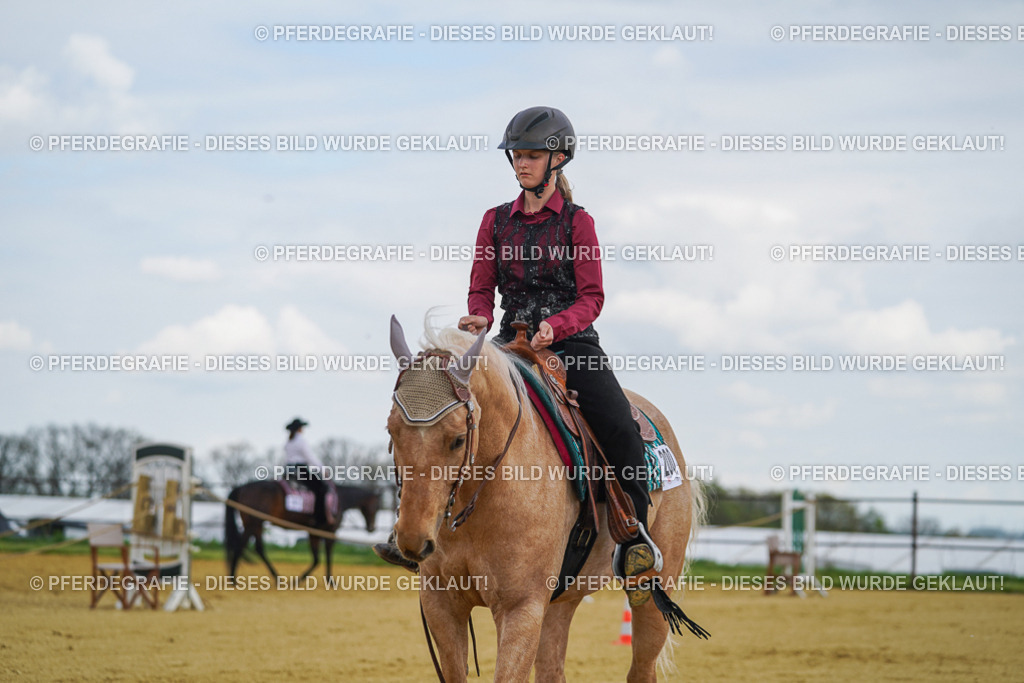 DSC05797 | Pferdegrafie