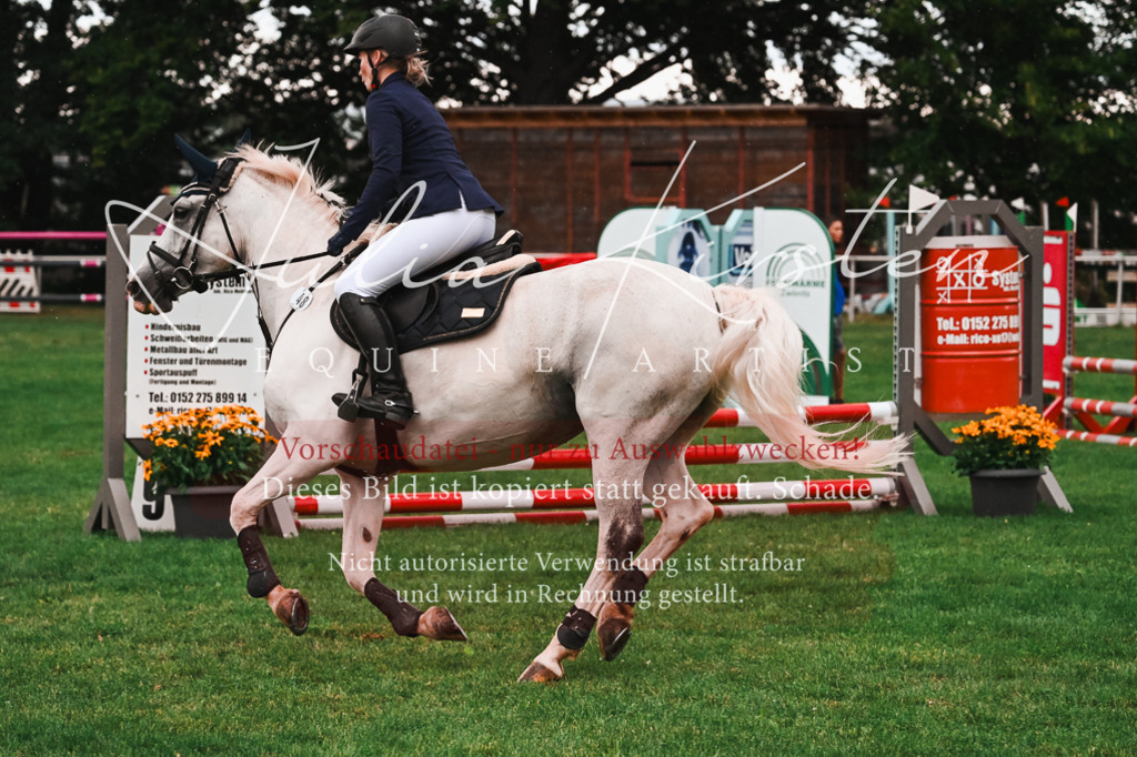 DSC_6095 | Pferde- und Turnierfotografie in Westsachsen. Pferdeportraits, Auftragszeichnungen und intuitive Kunst.