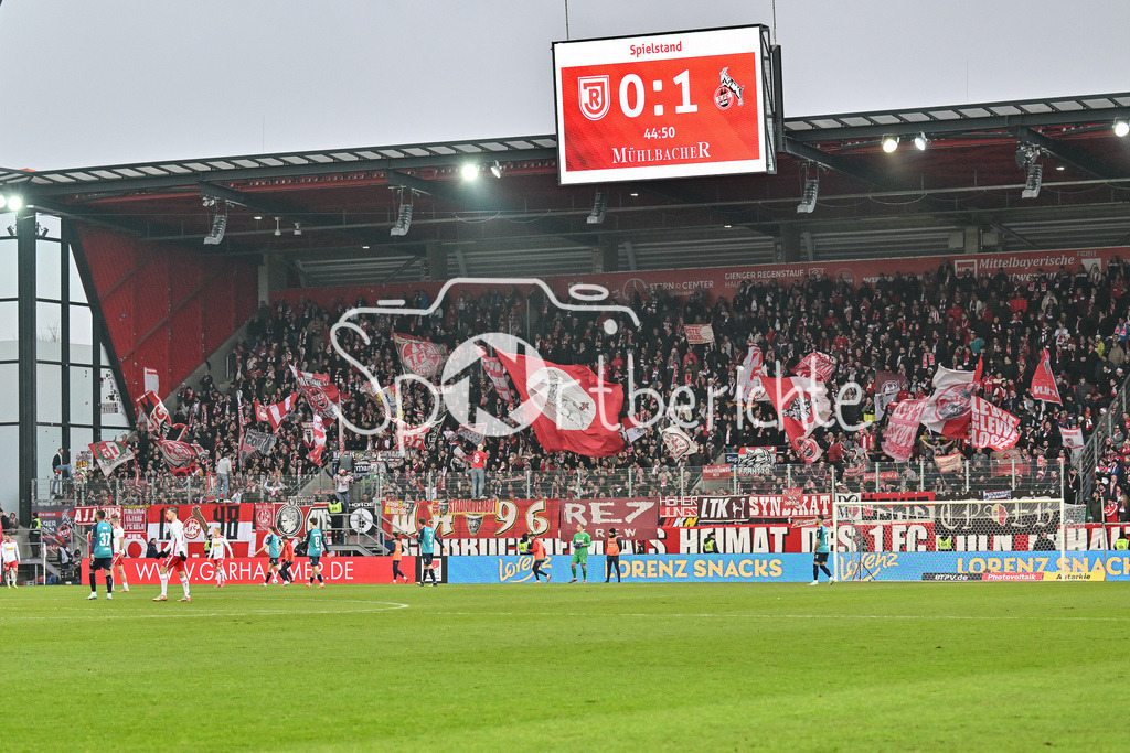 SSV Jahn Regensburg - 1. FC Köln | Fans des FC unterstuetzen ihr Team in Regensburg / 2. Bundesliga: SSV Jahn Regensburg - 1. FC Koen, Jahnstadion am 08.12.2024