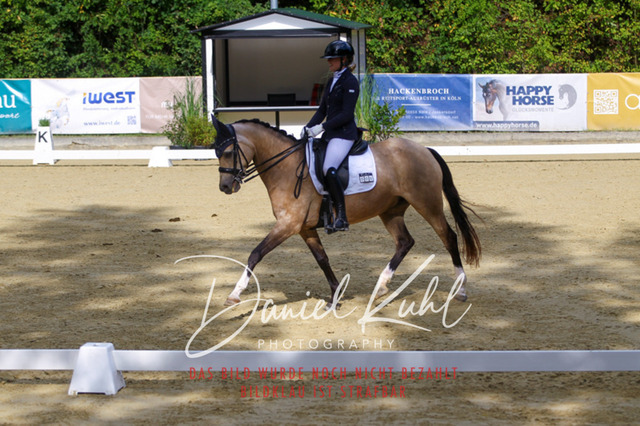 DKP40864 | Turniersportfotografie; Pferdefotografie; Dressurfotografie