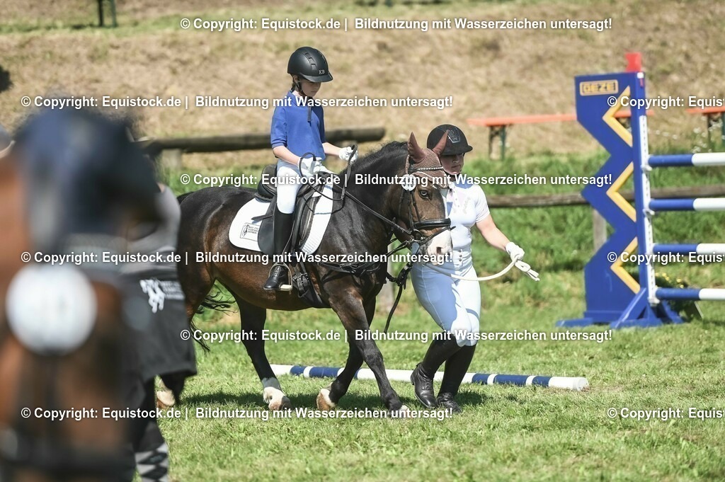 20230910_11-1_Führzügel-WB_0067 | Foto: Thomas Hartig